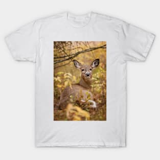 White-tailed Deer T-Shirt